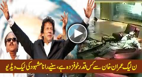 PMLN is Much Afraid of Imran Khan, Rana Mashood Telling in His Leaked Video