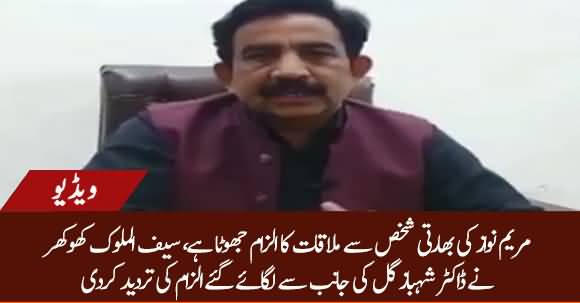 PMLN Leader Saiful Malook Khokhar Rejected Dr Shehbaz Gill Claim Against Maryam Nawaz