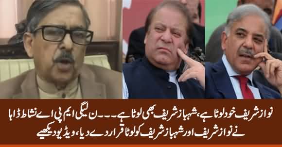 PMLN MPA Nishat Daha Calls Nawaz Sharif And Shehbaz Sharif 