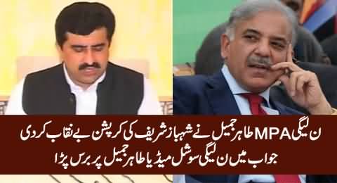 PMLN MPA Spills The Bean, Says Shahbaz Sharif Is Involved in Massive Corruption