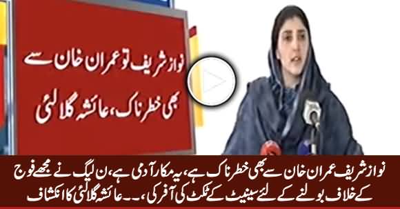 PMLN Offered Me Senate Ticket To Speak Against Army - Ayesha Gulalai