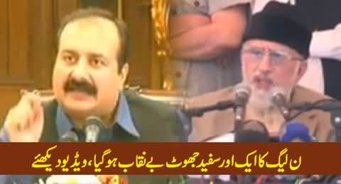 PMLN Rana Mashood Caught Red Handed Lying About Dr. Tahir ul Qadri