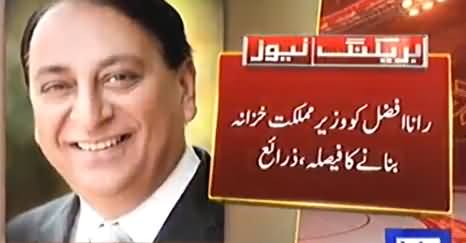 PMLN's Rana Afzal To Be Appointed As State Minister for Finance