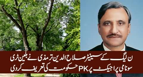 PMLN Senator Salahuddin Tirmizi Praises PTI Billion Tree Tsunami Project