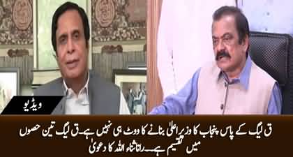 PMLQ doesn't have vote to make Punjab's chief minister - Rana Sanaullah