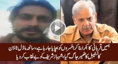 Police Constable Exposed Shahbaz Sharif & Police Officers in Model Town Incident