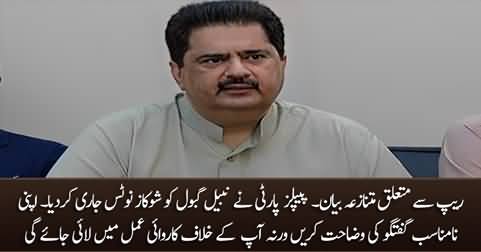 PPP issues show cause notice to Nabil Gabol for his controversial statement
