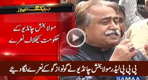 PPP Leader Maula Baksh Chandio Chants 