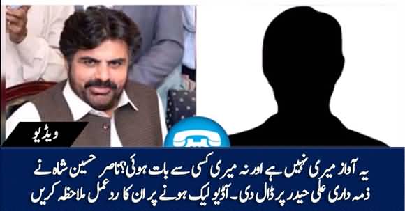 PPP Nasir Hussain Shah's Response On His Leaked Audio Call