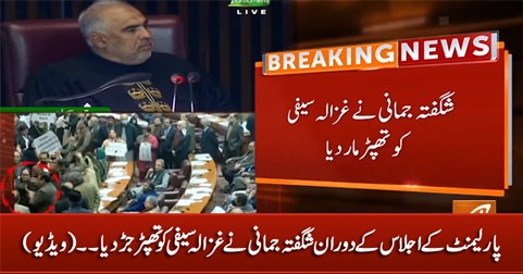 PPP's Shagufta Jumani slapped PTI's Ghazala Saifi in Parliament