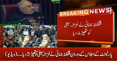 PPP's Shagufta Jumani slapped PTI's Ghazala Saifi in Parliament