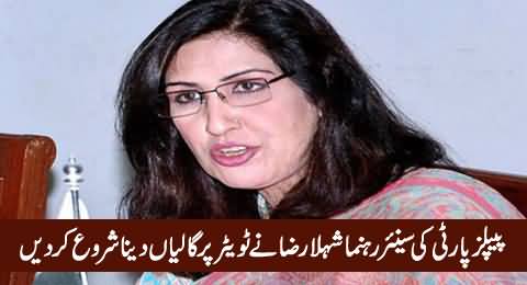 PPP Senior Leader Shehla Raza Using Abusive Language on Twitter