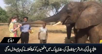 Sharmila Faruqui feeding elephants in Safari Park Karachi
