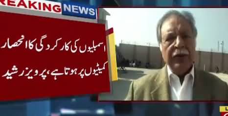 PTI Govt Not Making Committees Which Is Illegal And Unconstitutional - Pervez Rasheed