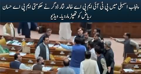 PTI MPA Khalid Nisar Dogar slaps PMLN MPA Hassan Riaz in Punjab Assembly