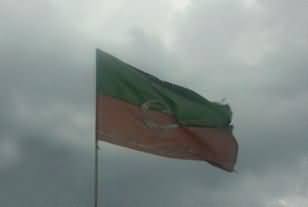 PTI Presents Its Demands to Election Commission For Local Bodies Election
