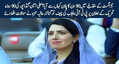 PTI Punjab chief organizer Aliya Hamza raises questions on Ali Amin Gandapur's 90-days plan