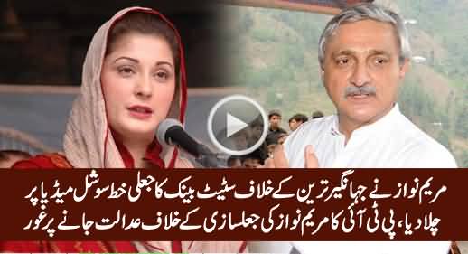 PTI To Take Legal Action Against Mariam Nawaz on Her Fraud