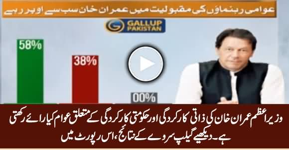 Public Opinion About Imran Khan's Performance - See Gallup Survey Results