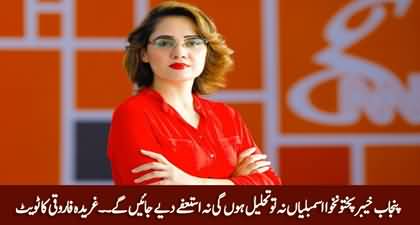 Punjab & KPK assemblies won't be dissolved nor resignations will come - Gharidah Farooqi