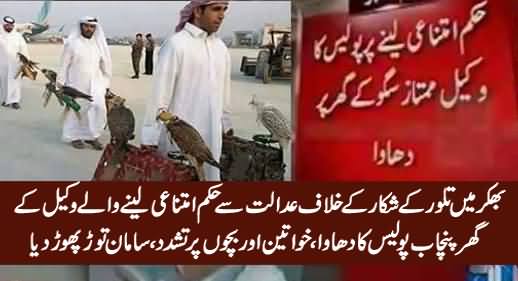 Punjab Police In Action Against Bhakkar's Lawyer Who Got Stay Order Against Houbara Hunting
