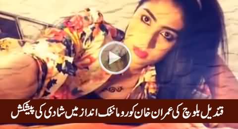 Qandeel Baloch's Marriage Proposal to Imran Khan in Romantic Style