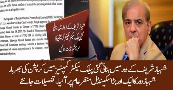 Rampant Corruption Exposed In Public Sector Companies During Shehbaz Sharif's Tenure