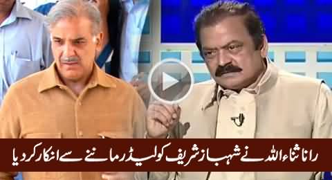 Rana Sanaullah Denied to Accept Shahbaz Sharif As Leader in Live Show