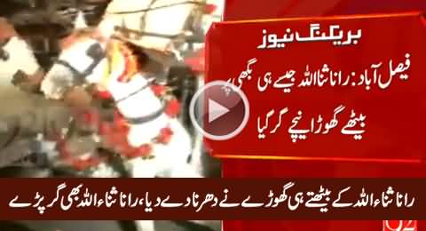 Rana Sanaullah Fell Down From Buggy Including Horse in Faisalabad