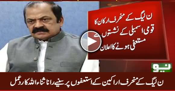 Rana Sanaullah Response on Resignation of PMLN Members From South Punjab