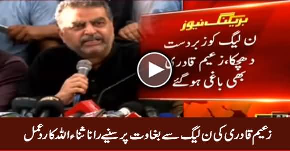 Rana Sanaullah Response on Zaeem Qadri Rebellion Against PMLN