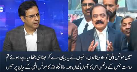 Rana Sanaullah's interesting comments on Moonis Elahi's statement