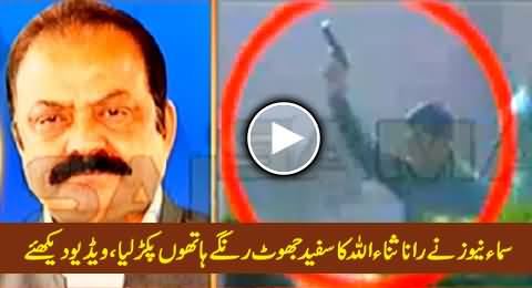 Rana Sanaullah's White Lie Badly Exposed By Samaa News, Must Watch