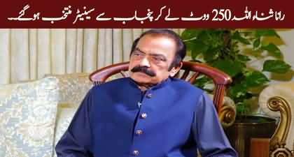 Rana Sanaullah secures Punjab Senate seat with 250 votes