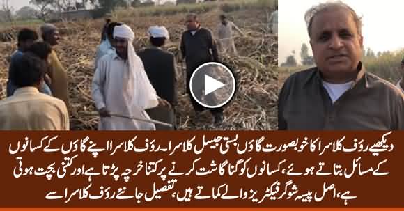 Rauf Klasra's Special Vlog From His Beautiful Village 