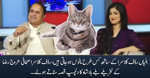 Rauf Klasra shares interesting story of his attachment to cats