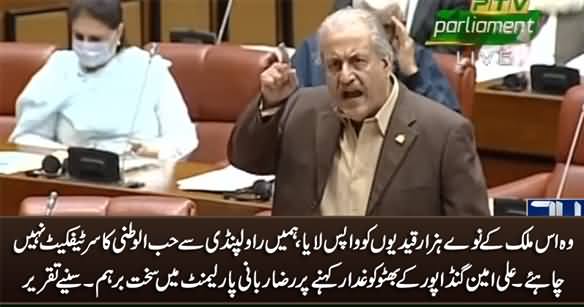 Raza Rabbani's Aggressive Speech In Parliament on Ali Amin Gandapur's Remarks About Bhutto
