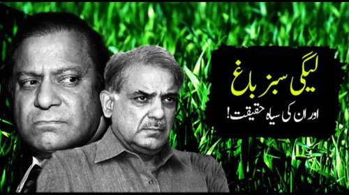 Reality Behind PML(N)'s Paid Advertisement. What they show and what they  have done ?