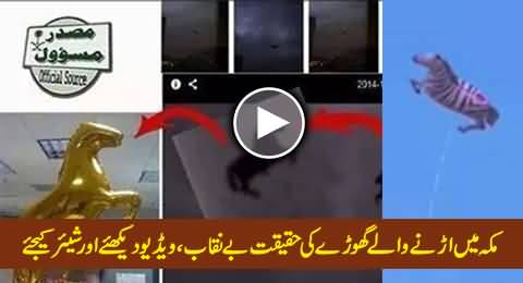 Reality of Flying Horse in Mecca Exposed, Must Watch and Share This Video