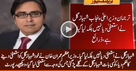 Reason Revealed Why PM Imran Khan Ordered Shahbaz Gill To Resign