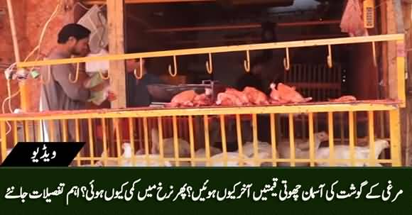 Reasons Behind Hike in Chicken Price Revealed