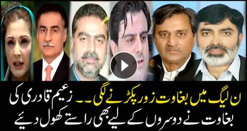 Rebellion surges with PMLN, many other members following the suit of Zaeem Qadri