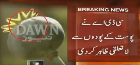 Red Zone Mein Supreme Court Ke Samne Afeem Ke Plant Laga Diye Gaye