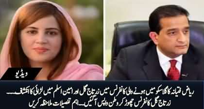 Riaz Fatyana discloses fight between Zartaj Gul and Amin Aslam in UN climate conference