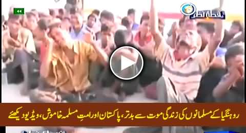 Rohingya Ke Muslimano Ki Zindagi Maut Se Badtar, Ummat-e-Muslima Khamosh, Exclusive Video