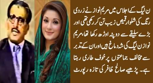 Saaleh Zaafir Report on Maryam Nawaz, Praising Her Dress And Wisdom