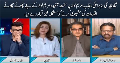 Sana Bucha criticizes CM Maryam Nawaz, declares her actions 'funny' and 'absurd'