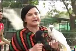 Sana Mirza Live (Hakumati Policy Mahool Dost Kyun Nahi) – 17th July 2017