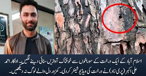 Scary sounds coming from a tree in Islamabad, actor Ahmad Ali Akbar shares video