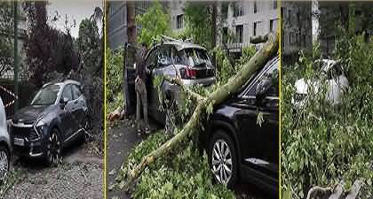 Scenes of destruction during torrential rain in Paris